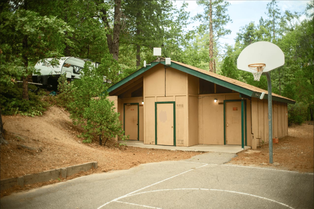 Court's Open