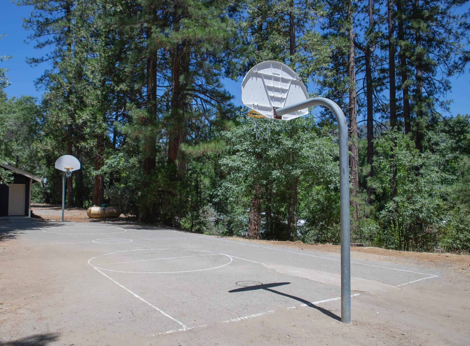 Court's Open