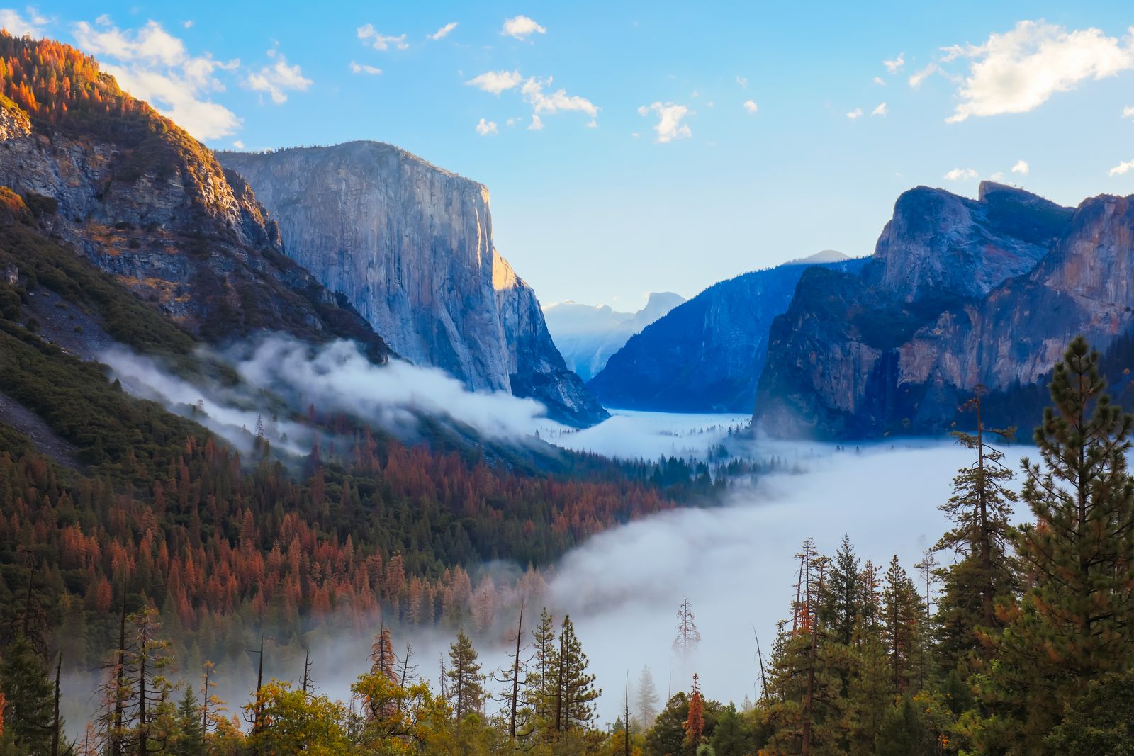 Yosemite Valley