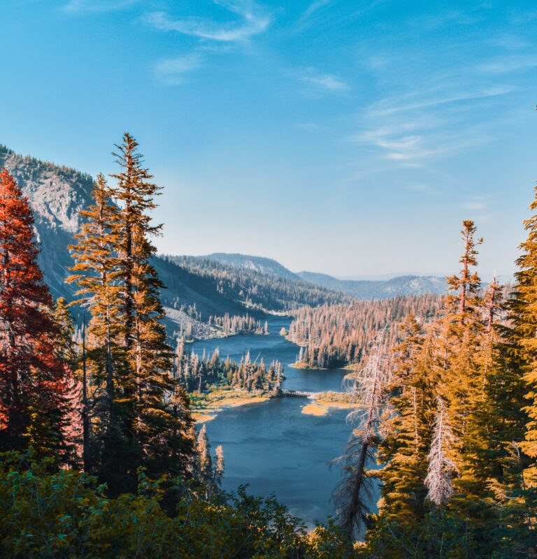 The Best Places To See Wildlife In The U.S.