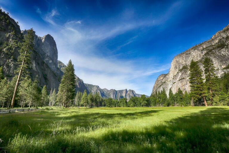 When Should You Reserve Your Trip to Yosemite?