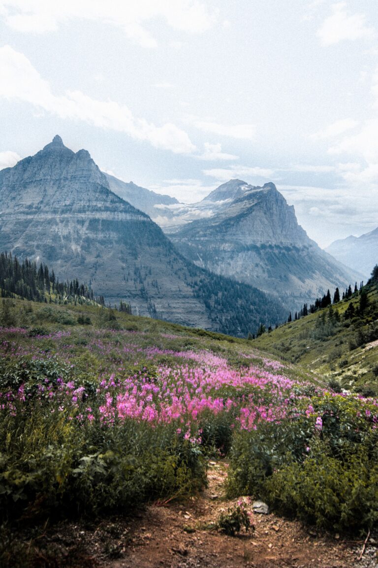 The Benefits of Being in Nature—Bringing the Outdoors IN to Your Wellness