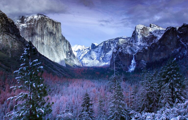 Christmas Activities Near Yosemite National Park